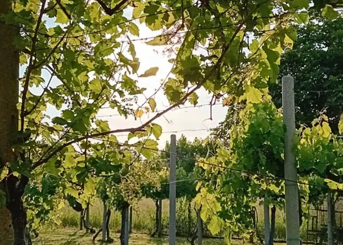 Bed and Breakfast La Cjase di Pieri e Vilme Udine